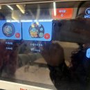 칠곡네스빌 아파트 맞은편 | 칠곡3지구 점심 자가제면 우동을 먹을 수 있는 제면소의하루