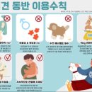 다시사랑받개 이미지