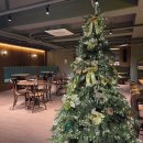 중동 KT건너편 주차장 | 수원종합운동장 kt위즈파크 근처 감성 가득한 카페 케이크 디아즈 후기