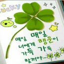 핀액션