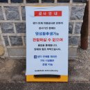 역사체험 후 체험학습보고서까지 &#39;놀토&#39; 하나로 해결!