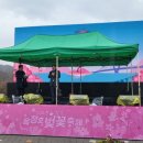 쌍치 추령천 벚꽃축제 네이버블로그