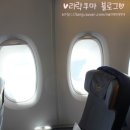 빌리야드 | 루프트한자 독일항공 후기 & 기내식★