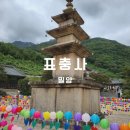 표충사호국박물관 | 밀양 표충사 호국박물관 : 대광전 7일초 밝히고 소원빌기