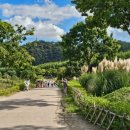 태화강국가정원 이미지