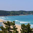 길 위에서 만나는 세계 문화 이미지