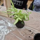 사하구장애인종합복지관 이미지