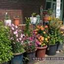 성환시장 이미지