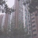 수원-1104 이미지