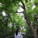 G1호텔 | 제주도 에코랜드호텔 조식 에코랜드 투숙객 할인이용 후기 (2)