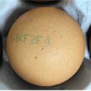 호암농장2 이미지