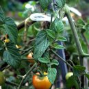 유토피아 오토캠핑장 이미지