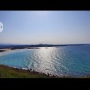 5개? 없이 사는 하루하루 사는 진명근 이미지