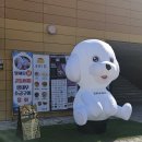 살롱드 오픈주 이미지