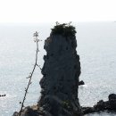 법환동-15 이미지