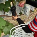 십이령농원 이미지