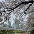 삼도 참숯갈비 이미지