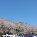 은대근린공원 이미지