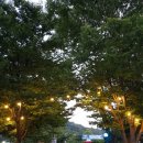 운주 좋은 날 이미지