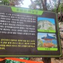 순창&amp; 담양 1박2일 용궐산하늘길 채계산출렁다리 메타세쿼이아가로수길