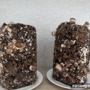 송암2농장 이미지