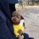 호두가족