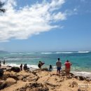 거북이가든 이미지