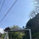 레포밸리 이미지