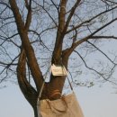 메칸더 짐 이미지