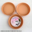 엔티크 독 이미지