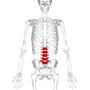 호생한의원 이미지