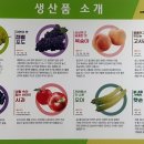 모서농업협동조합 이미지