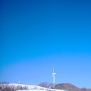 파란목장 이미지