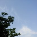 서울사대부설초등학교 이미지