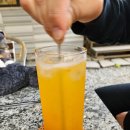 포레스트541 이미지