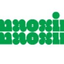 매실(maesil) 이미지