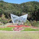 백야자연휴양림 오토캠핑장 이미지