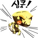 한국이색반려동물박람회 이미지