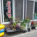 도림사계곡민박 이미지