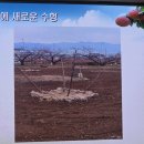 새해 농업인 실용교육 | 2026년 새해농업인 실용교육 복숭아재배기술 전주시농업기술센터