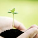 서울종묘사 이미지