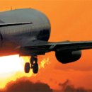 웅비농장 이미지