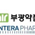 테라메딕스 이미지