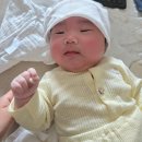 아기 주먹고기 언제부터? 2개월 아기 찐후기+ 해외 논문 정리