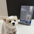 (주)닥터초이스 이미지