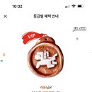 빽보이피자고양행신점 이미지