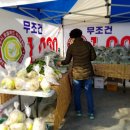 치성농장 이미지