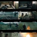 도그스타 - 김포시 장차로 9 | 도그스타