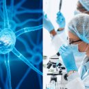 자가운동 표준 프로그램 | 프로타제닉 테라퓨틱스(Protagenic Therapeutics)의 미래전망 – “만성질환 치료 패러다임을 바꾸는...