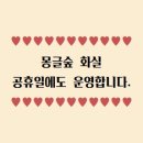 몽글숲화실
